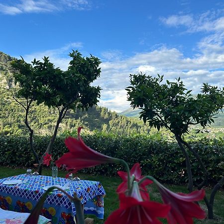 Hotel Villa Edis Μπεράτ Εξωτερικό φωτογραφία