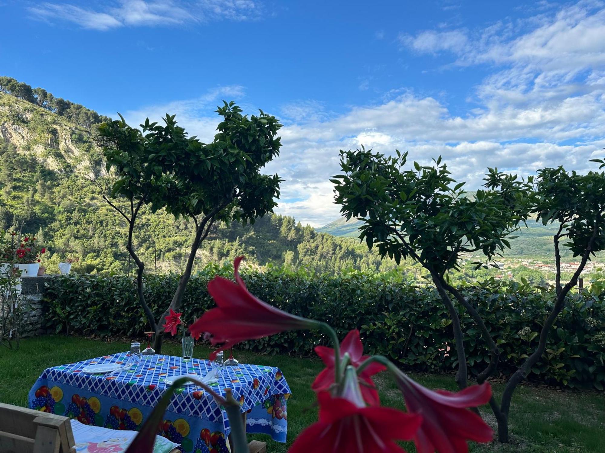 Hotel Villa Edis Μπεράτ Εξωτερικό φωτογραφία
